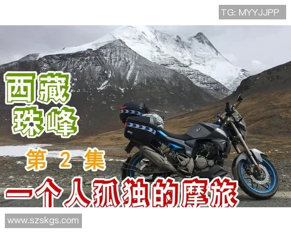 西安攀岩队协作精神探讨与训练技巧分享之旅